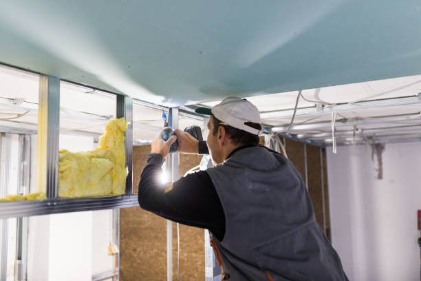 Best Types of Insulation in Auburn Lake Trails, CA