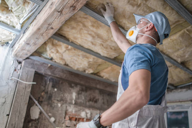 Best Insulation Maintenance and Repair in Auburn Lake Trails, CA